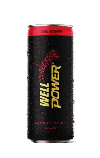 Well Power energy drink 0,250 мл